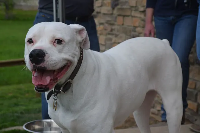 Millwood Animal Hospital Picture 4