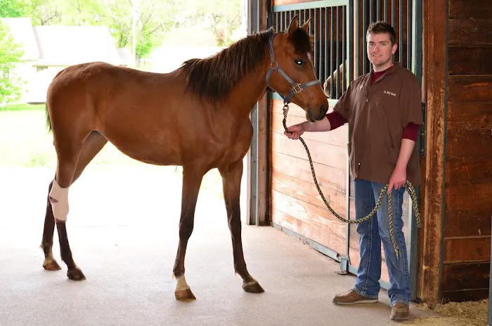 Millwood Animal Hospital Picture 3