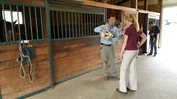 Millwood Animal Hospital Picture 2