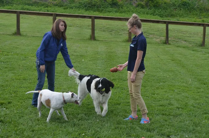 Millwood Animal Hospital Picture 6