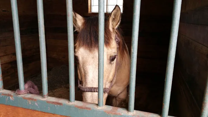 Millwood Animal Hospital Picture 8