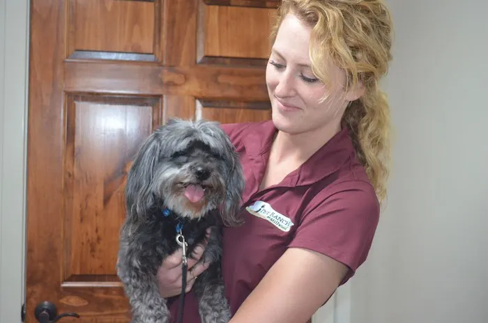 Millwood Animal Hospital Picture 9