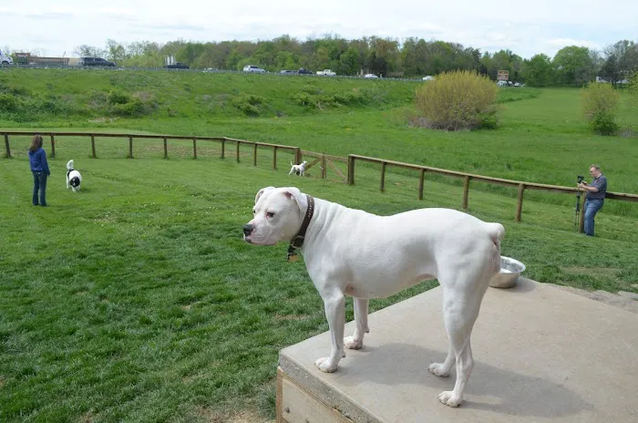 Millwood Animal Hospital Picture 7