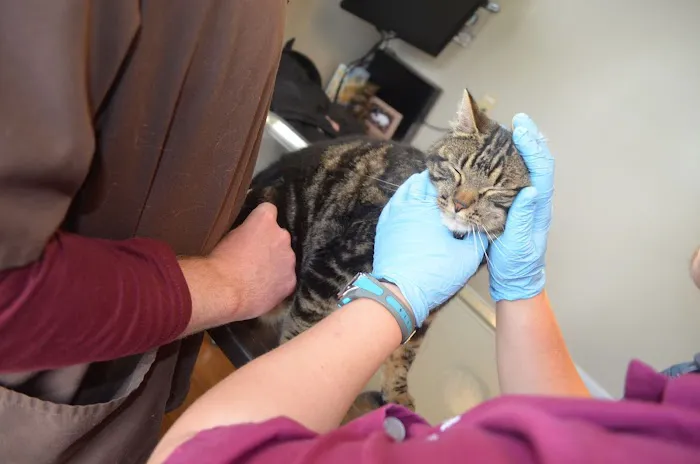 Millwood Animal Hospital Picture 10