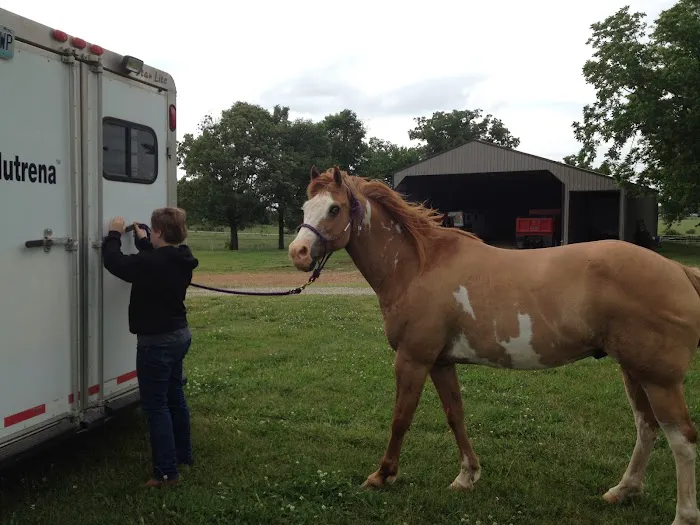 Equine Clinic Picture 2