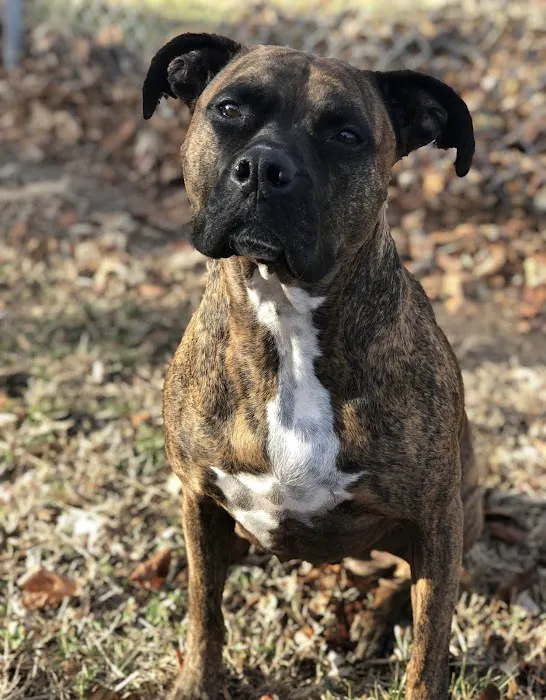 McClure Veterinary Clinic Picture 1