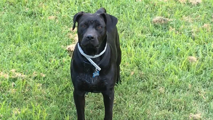 McClure Veterinary Clinic Picture 2