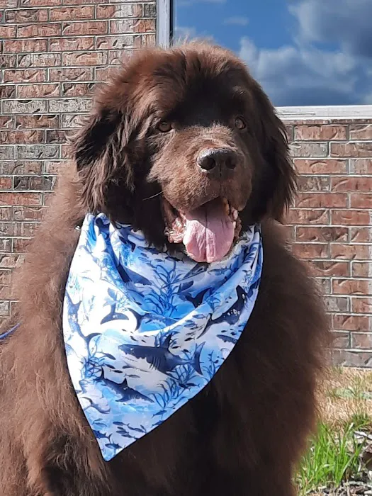 McClure Veterinary Clinic Picture 4