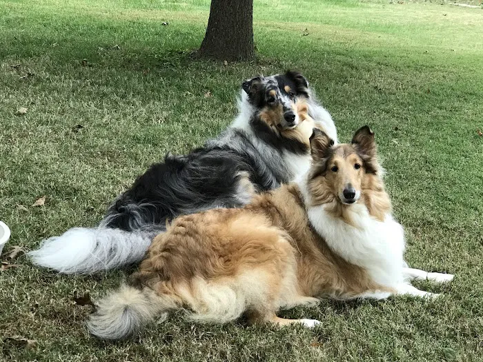 McClure Veterinary Clinic Picture 5