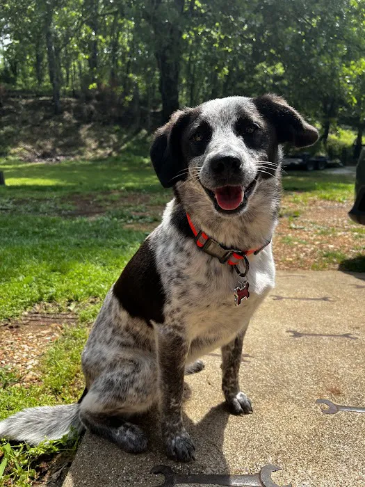 McClure Veterinary Clinic Picture 7