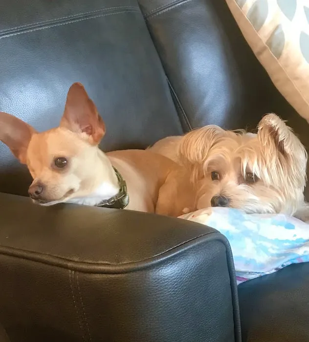 McClure Veterinary Clinic Picture 8