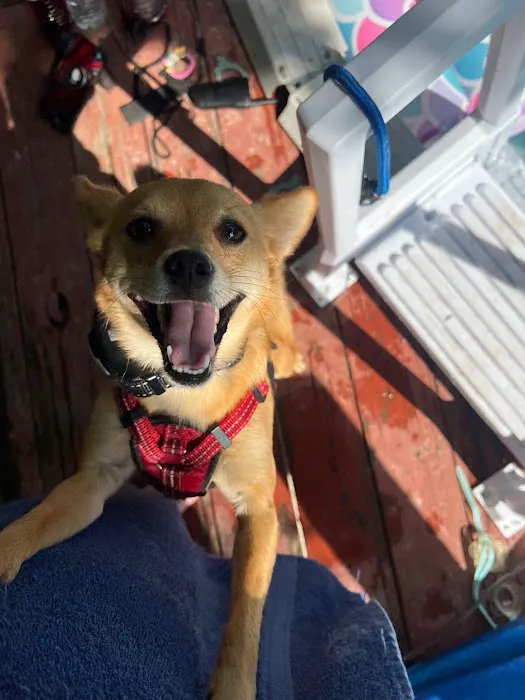 McClure Veterinary Clinic Picture 10