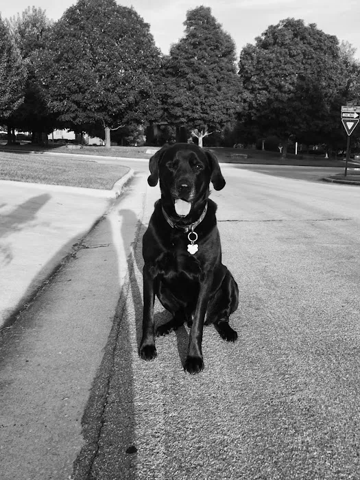 Galloway Village Veterinary Picture 3