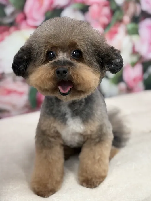 Galloway Village Veterinary Picture 6