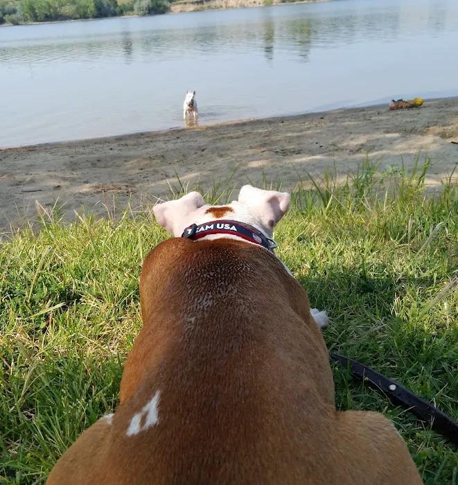 Galloway Village Veterinary Picture 4