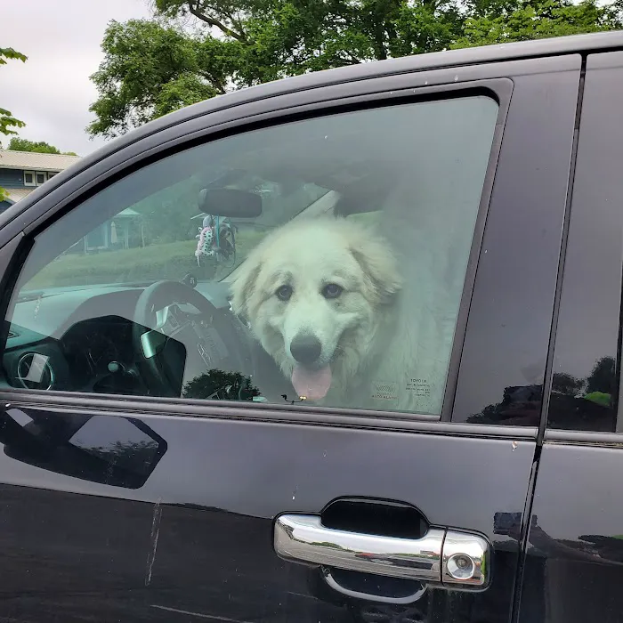 Galloway Village Veterinary Picture 5