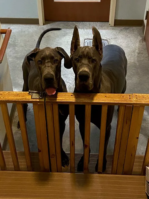 Galloway Village Veterinary Picture 8