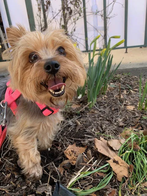 Galloway Village Veterinary Picture 7