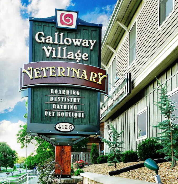 Galloway Village Veterinary Picture 9