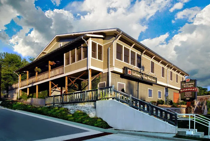 Galloway Village Veterinary Picture 10