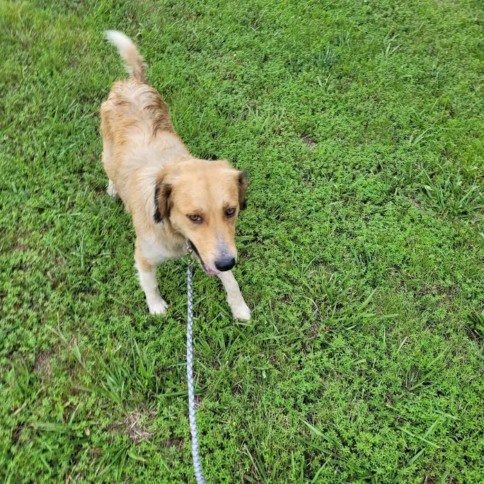 Ozark Veterinary Clinic Picture 2