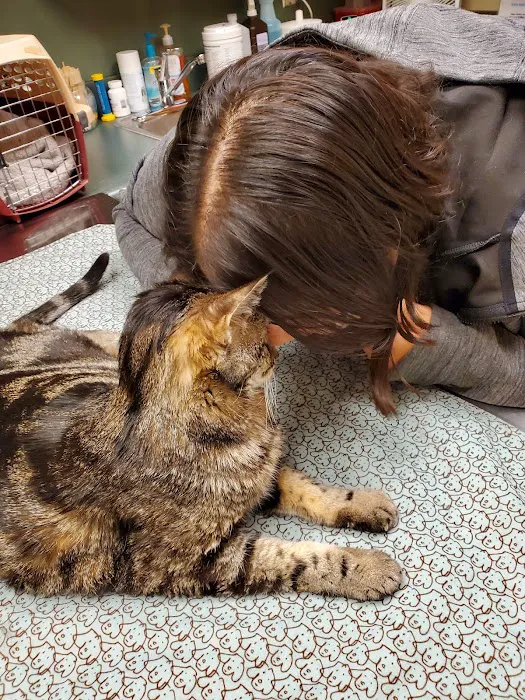 Ozark Veterinary Clinic Picture 3