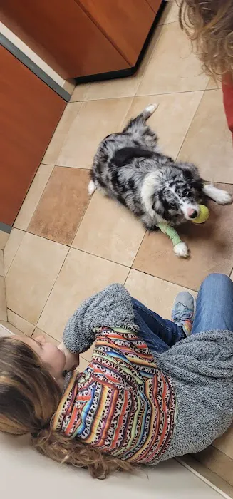 Ozark Veterinary Clinic Picture 4