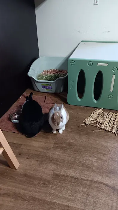 Ketchem Rebecca DVM Picture 1