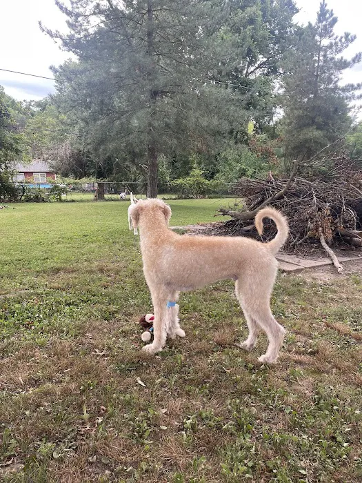 Animal Clinic of the Ozarks Picture 8