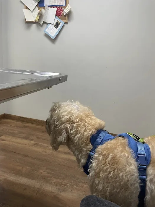 Animal Clinic of the Ozarks Picture 6