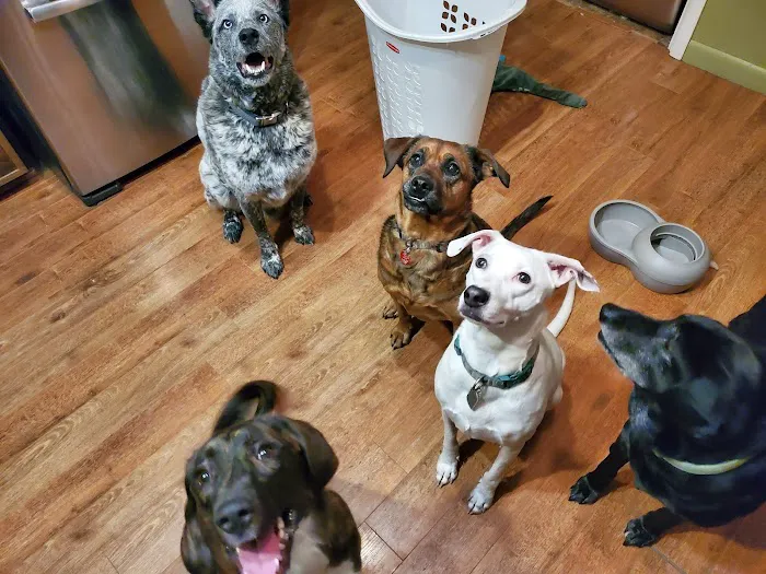 Banfield Pet Hospital Picture 4