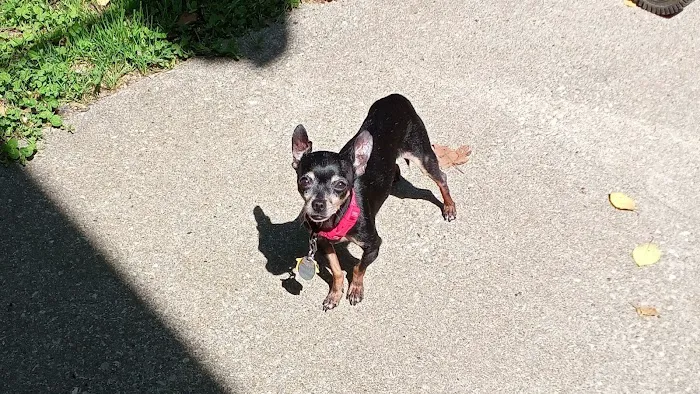 Banfield Pet Hospital Picture 3