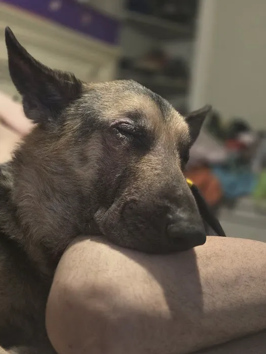 Banfield Pet Hospital Picture 7