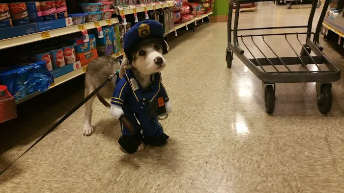 Banfield Pet Hospital Picture 9