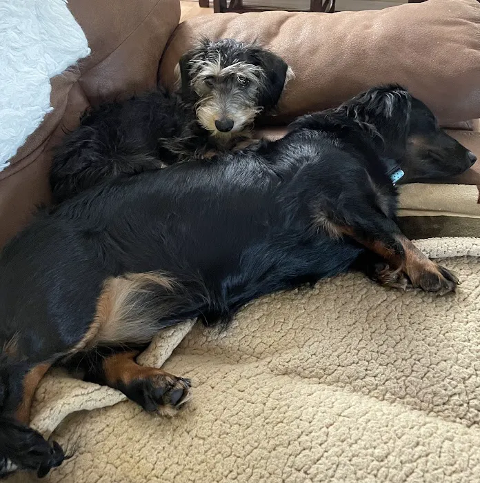 Animal Care Center Picture 1