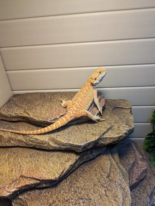 Animal Care Center Picture 5