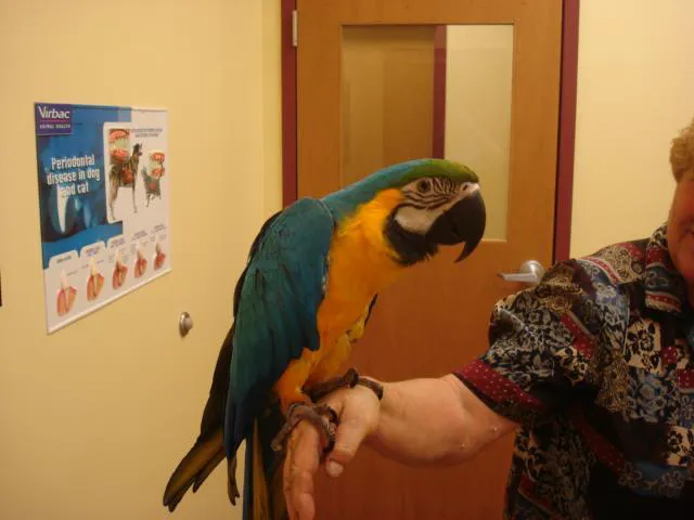 Animal Care Center Picture 4