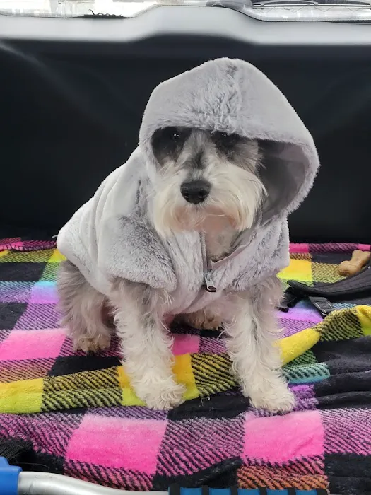 Route 66 Pet Clinic Picture 4