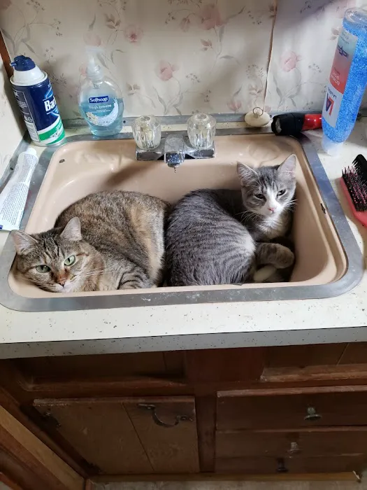 Route 66 Pet Clinic Picture 9