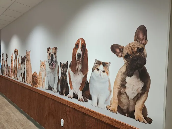 Grant Pet Hospital Picture 1