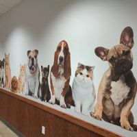 Grant Pet Hospital ico