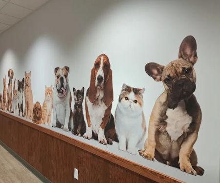Grant Pet Hospital