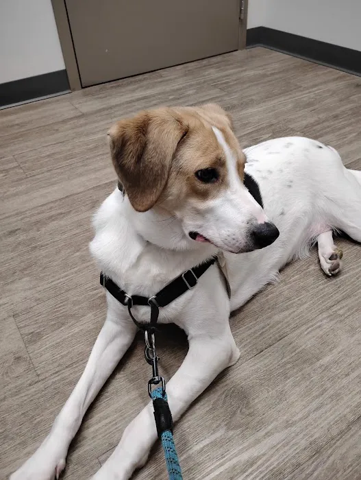 Grant Pet Hospital Picture 2