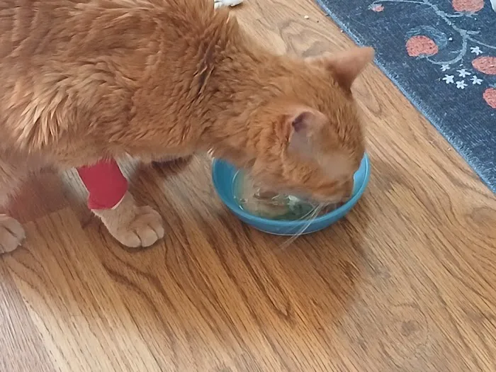 Grant Pet Hospital Picture 5