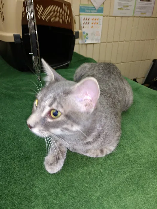 Grant Pet Hospital Picture 9