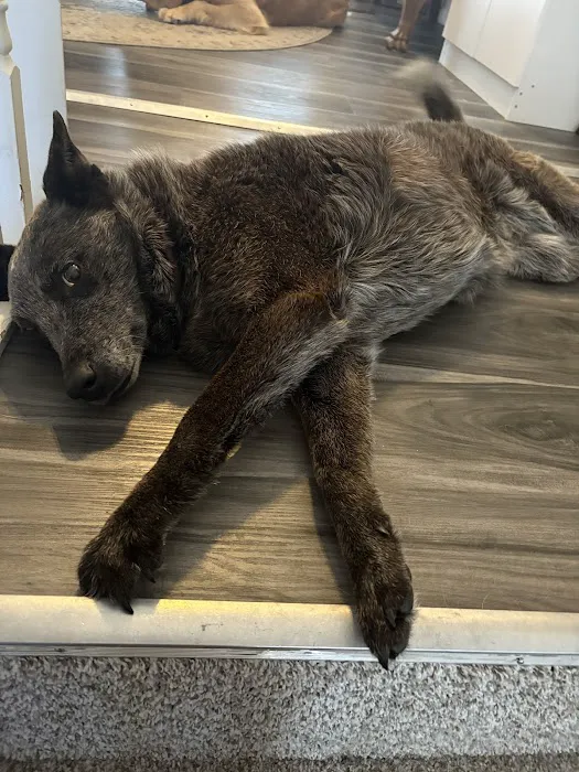 Mitchell Veterinary Clinic Picture 2