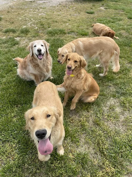 Mitchell Veterinary Clinic Picture 3