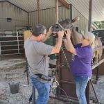 Mitchell Veterinary Clinic