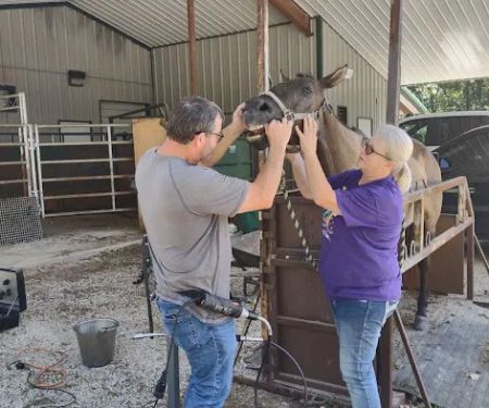 Mitchell Veterinary Clinic
