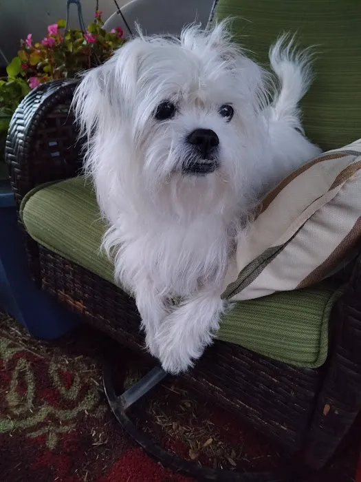 Mitchell Veterinary Clinic Picture 4